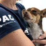 Arturo Reyes Sandoval, nuevo director del IPN