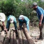 Confían farmacéuticas en sus vacunas contra la nueva cepa