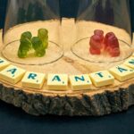 El Patronato de la Feria de San Marcos en Aguascalientes está limitado de fondos