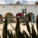 Ordenan detener a Cuauhtémoc Gutiérrez de la Torre