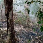 11 países de América refuerzan intercambio de información sobre redes de tráfico y trata de personas migrantes