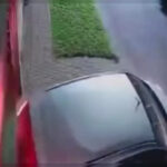 El legado del artista cubano Nicolás Landrián resurge en Venecia