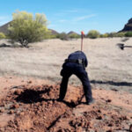 Papa Francisco afirma que aun no está bien de salud; cancela su viaje a la Conferencia Climática