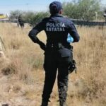 Suecia ingresa a la OTAN y cierra la brecha como último país nórdico en integrarse