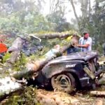 “La tensión en el Líderazo: Bombardeos en Gaza desafían acuerdos de paz y generarían un riesgo escalable para la región”