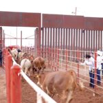 “Colombia y Venezuela en un nuevo equilibrio: El relevo que puede cambiar el rumbo de la región”