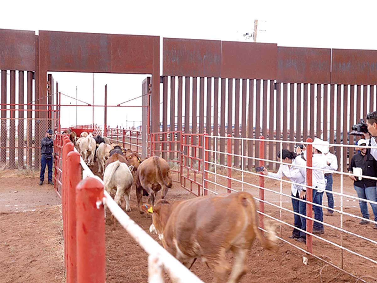 "La crisis fronteriza alcanza un punto crítico: barrenado, carestía y despidos en alza un año después de la decisión que cambió el rumbo del país"