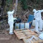 MUTEK MX 21: una nueva era para la creatividad digital en la Ciudad de México