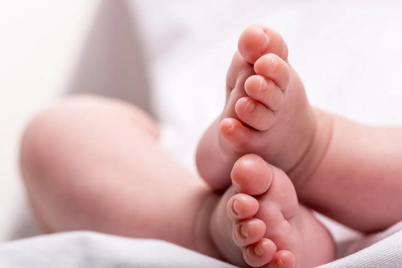 Tragedia en la Capital: Descubre Secreto en Contenedor de Basura y Lamentable Consecuencia